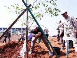 Aksi Penamanan Pohon di UII Depok