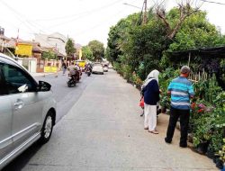 Para  Pedagang Tanaman Hias di Jalan Salak Minta Perhatian Pemkot Depok