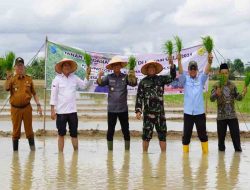 Kementan Target Cetak 125 Ribu Hektare Sawah Baru di OKI, Topang Swasembada Pangan Prabowo